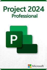 Microsoft Project 2024 Professional