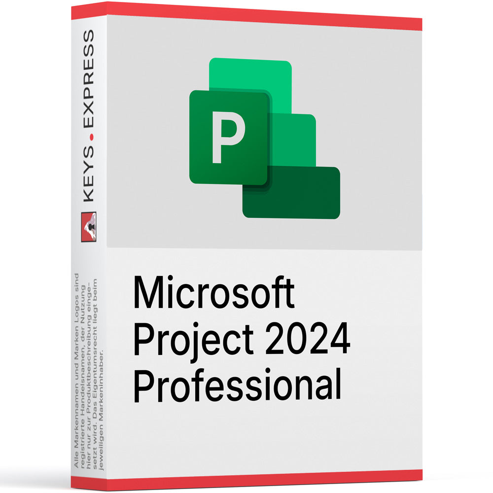 Microsoft Project 2024 Professional