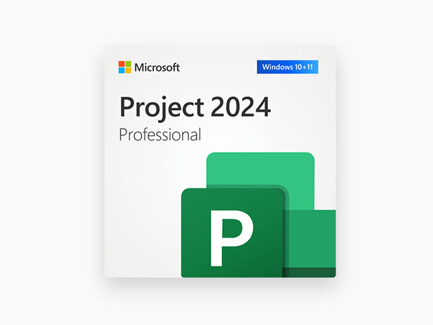 Microsoft Project 2024 Professional